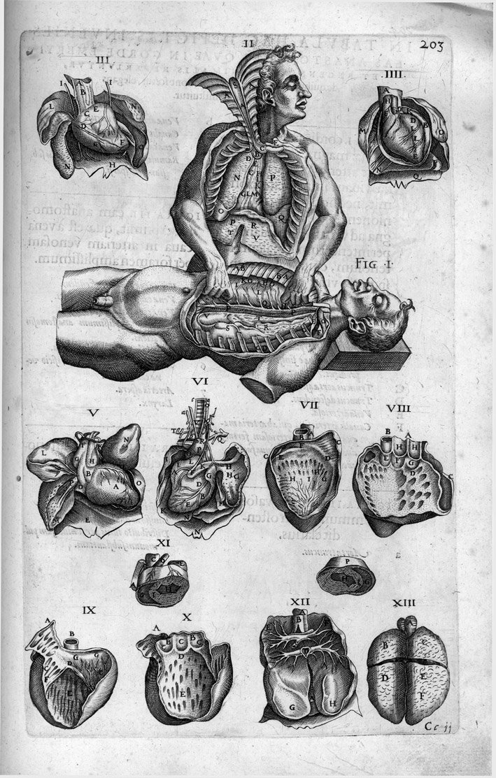 Historia Anatomica Humani Corporis et singularum eius partium, multis controversiis …