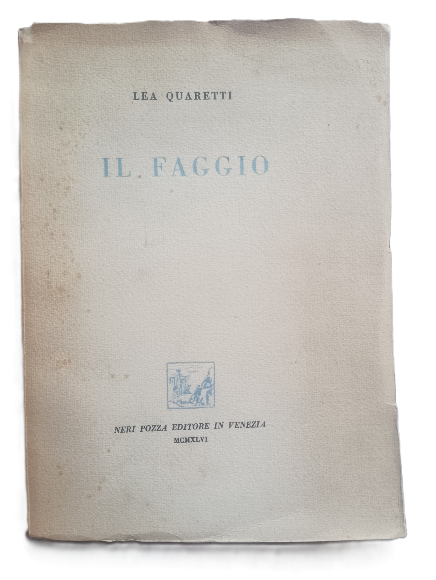 Il faggio.