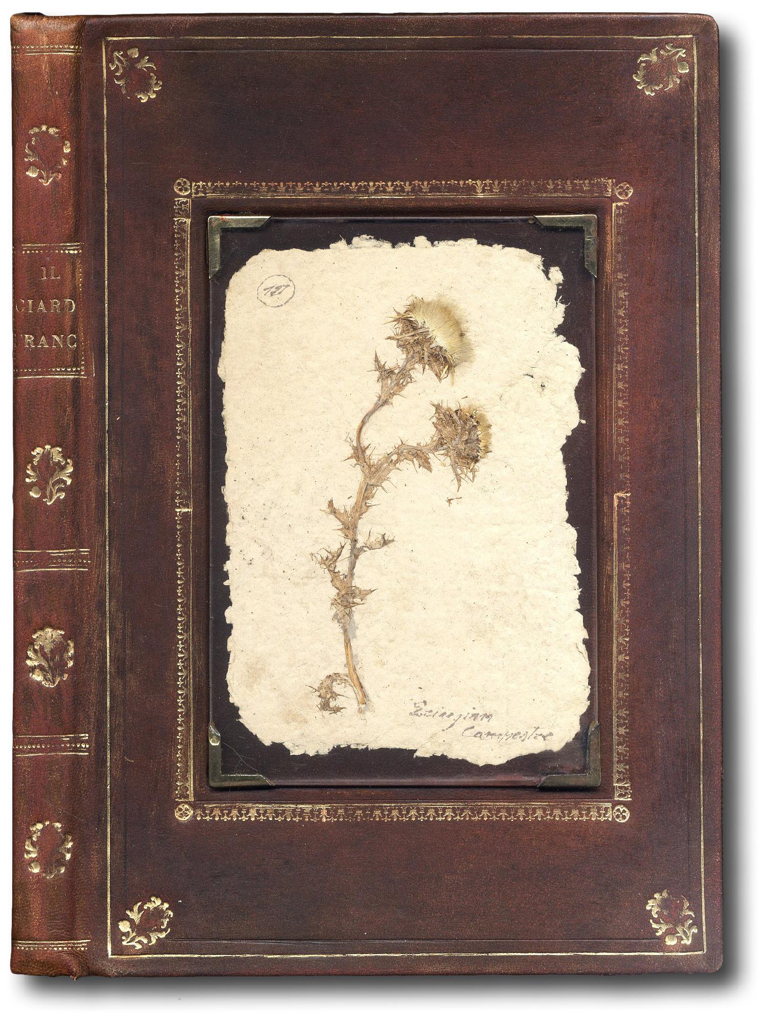 Il giardiniero francese overo trattato del tagliare gli alberi da …