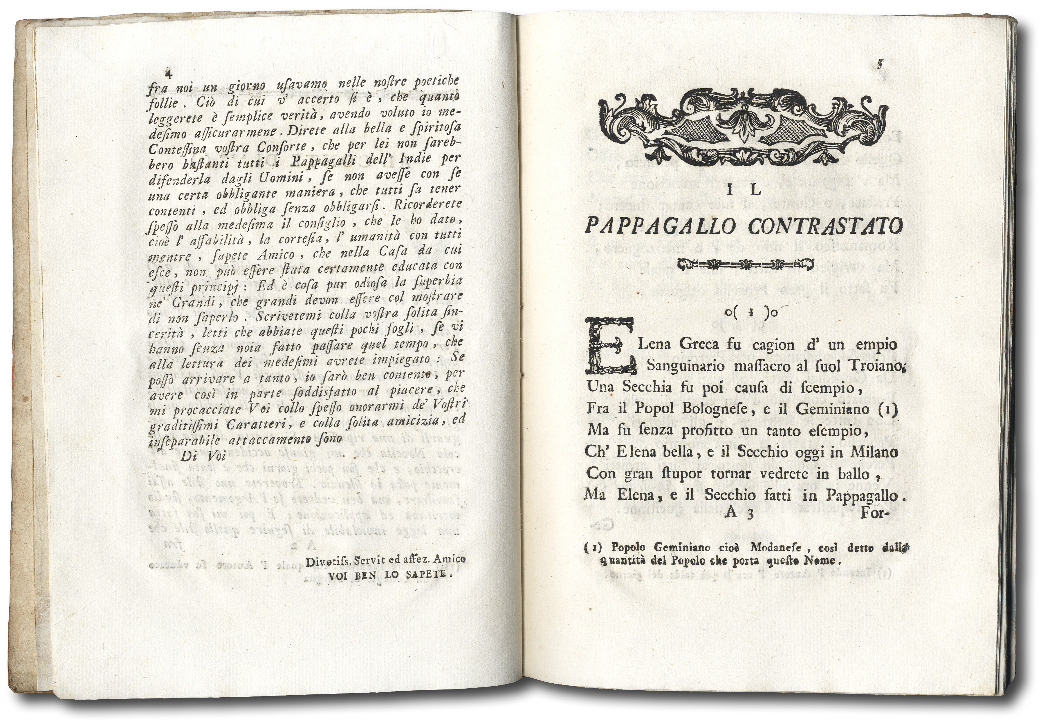 Il pappagallo contrastato.