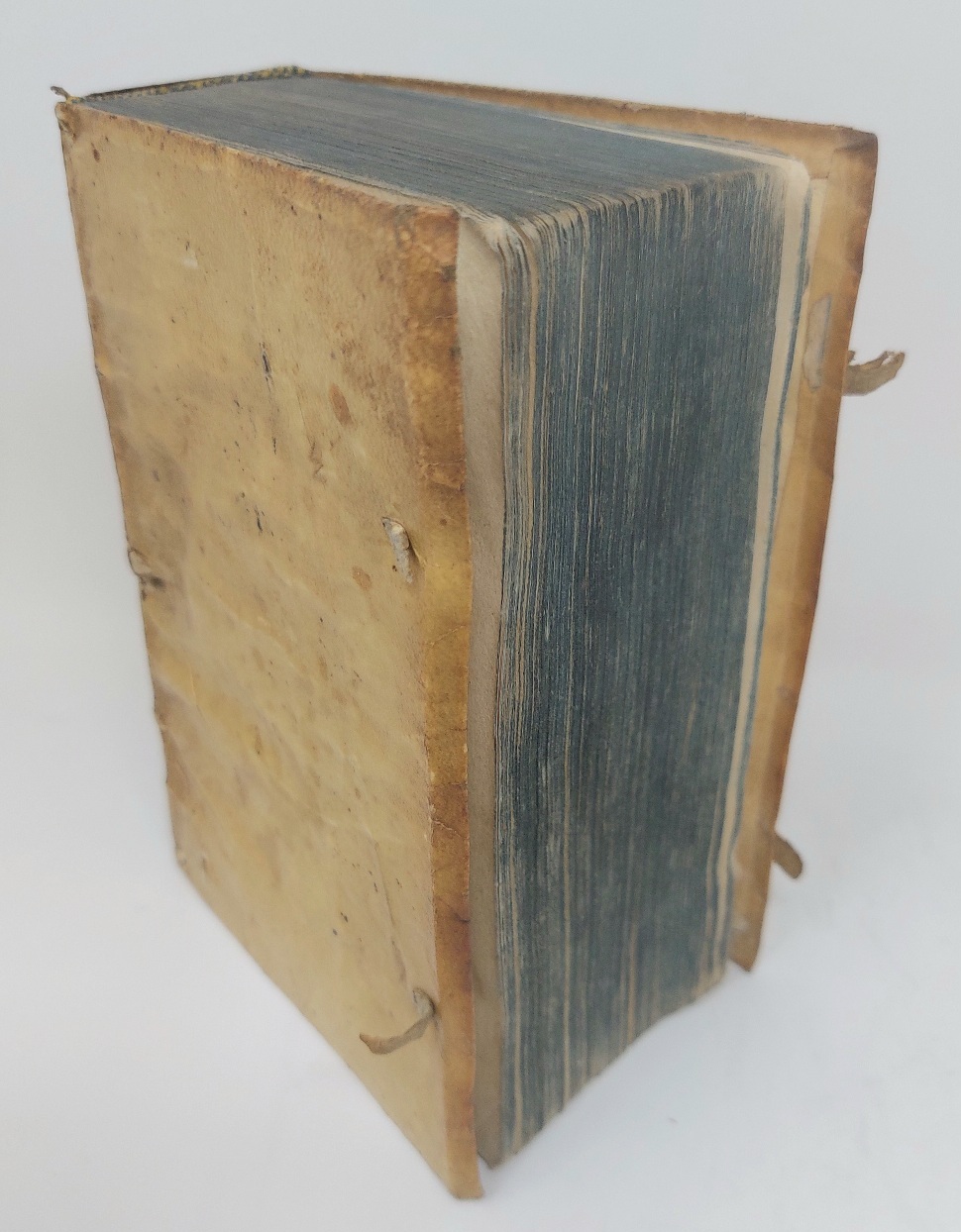 In omnibus Metaphysicae libris quaesita testualia metaphysicali modo determinata.&amp;nbsp;In quibus …