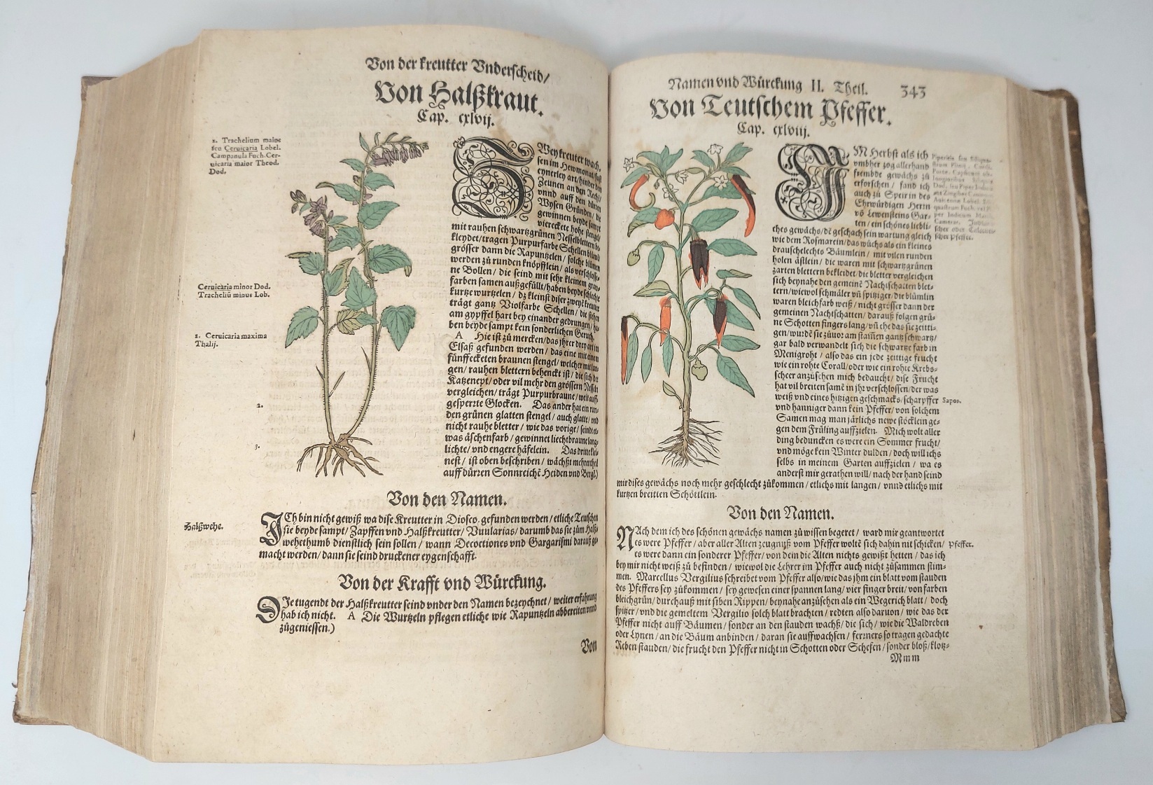 Kre&amp;uuml;tterbuch ... Item von den vier Elementen, zamen und wilden …