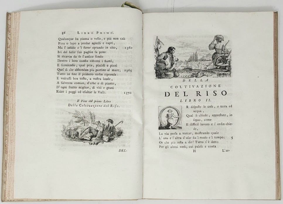 La Coltivazione del Riso.