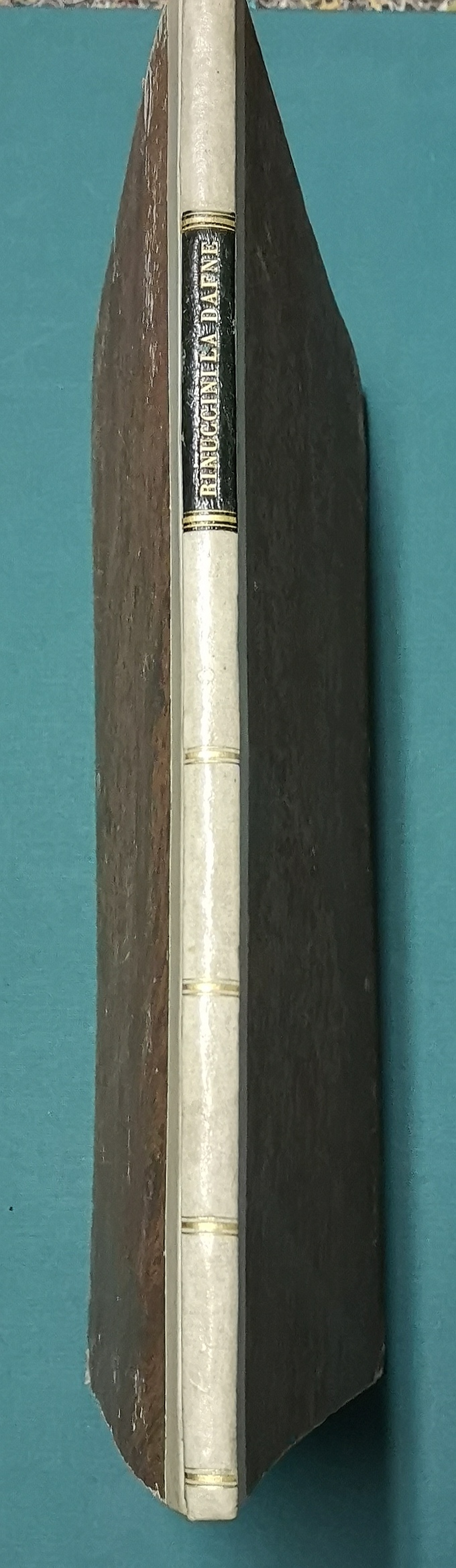 La Dafne. Nuovamente stampata in occasione delle nozze del Marchese …