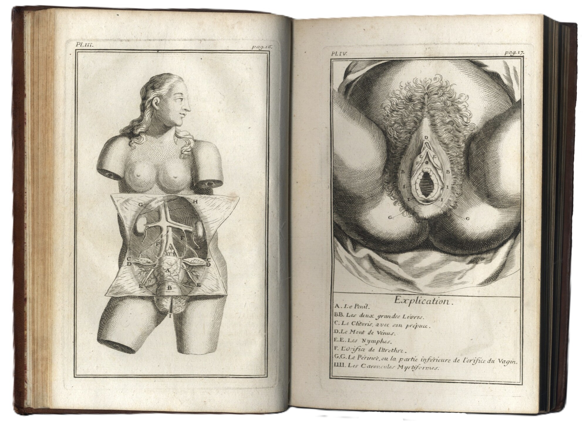 La guide des accoucheurs ou le maistre dans l'art d'accoucher …