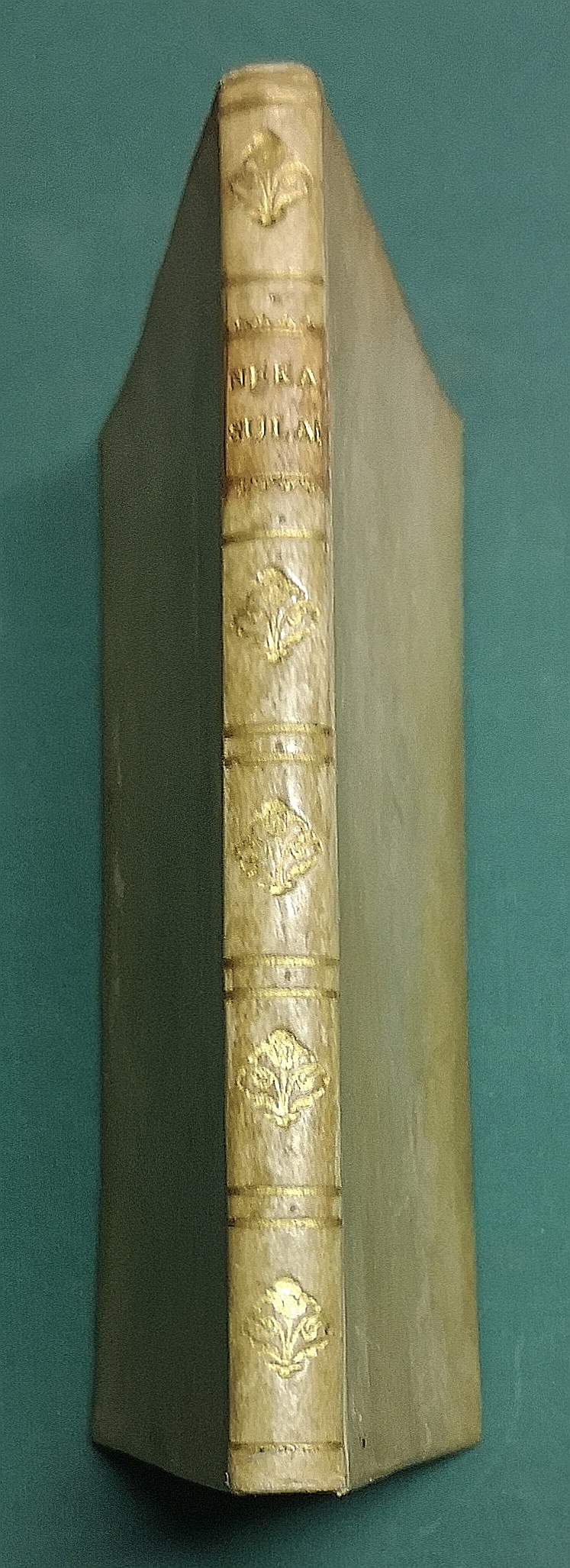 La Sulamitide, boschereccia sagra di Neralco pastore arcade.