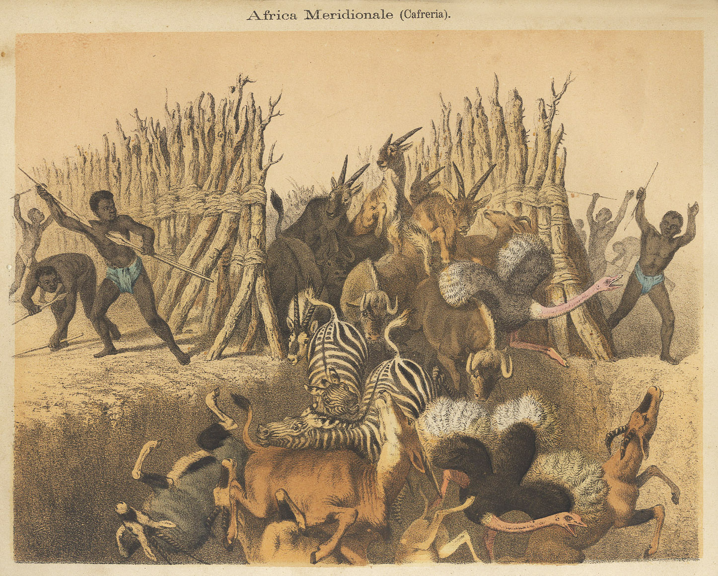 La terra illustrata.