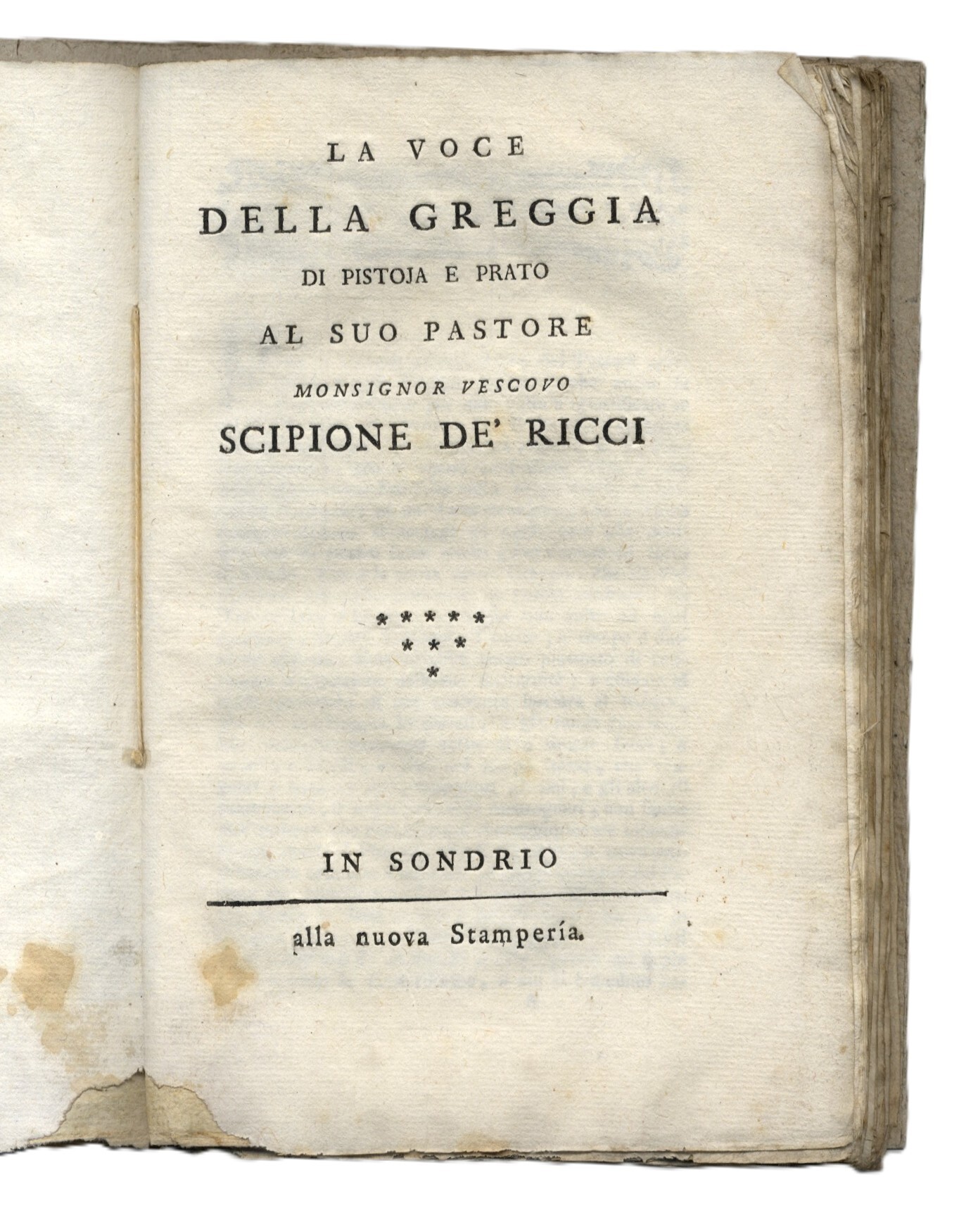 La voce della greggia di Pistoja e Prato al suo …