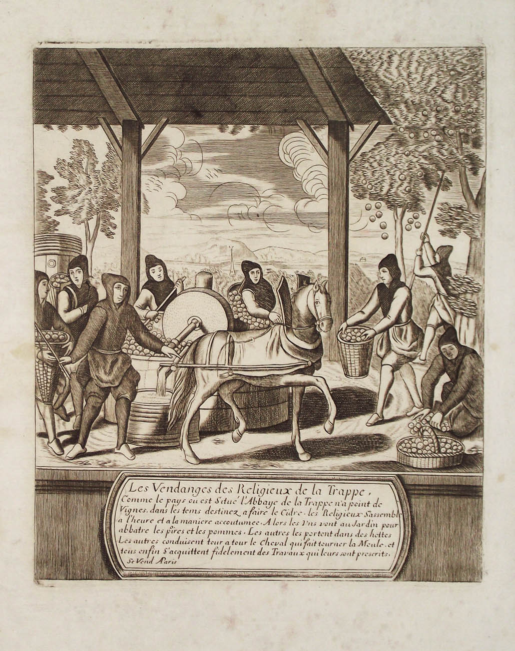 Les Vendanges des Religieux de la Trappe.
