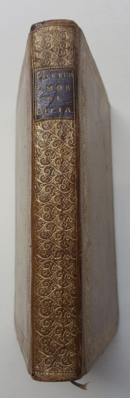 Lettere amorose di madonna Celia gentildonna romana scritte al suo …