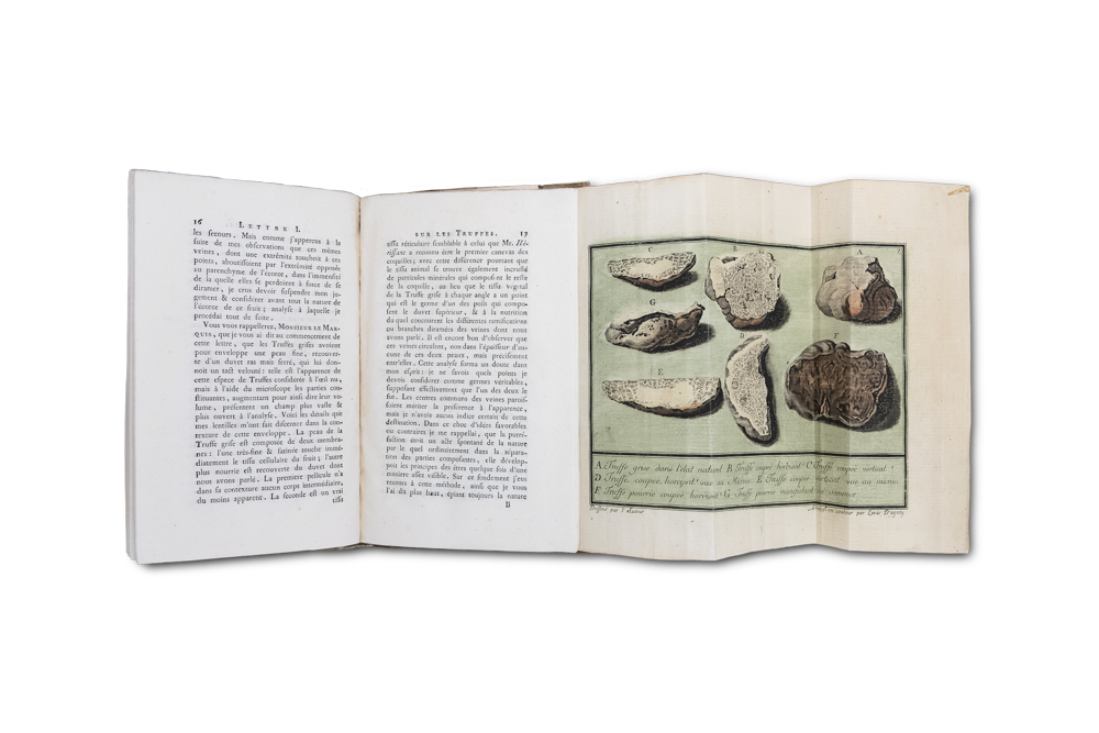 Lettres sur les truffes du Pi&amp;eacute;mont, &amp;eacute;crites en 1780.