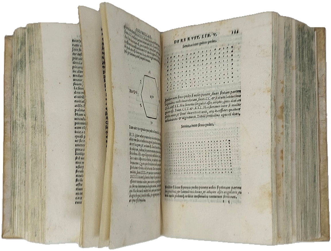 Libri de re rustica a Nicolao Angelio...cum indice et expositione …