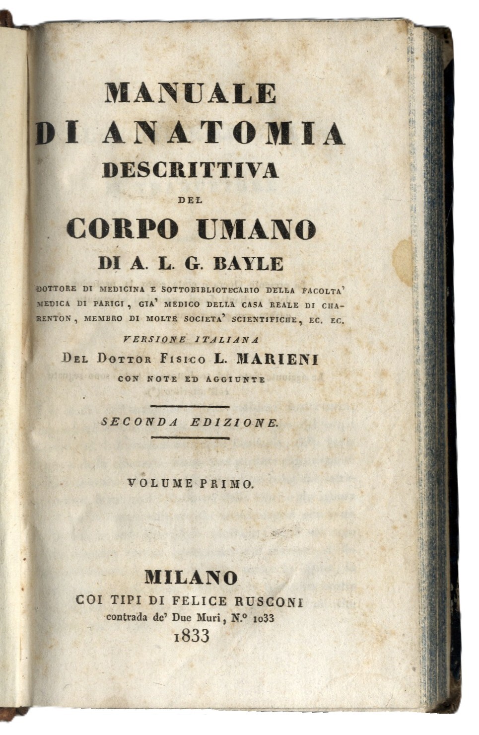 Manuale di Anatomia Descrittiva del Corpo Umano. Versione italiana di …