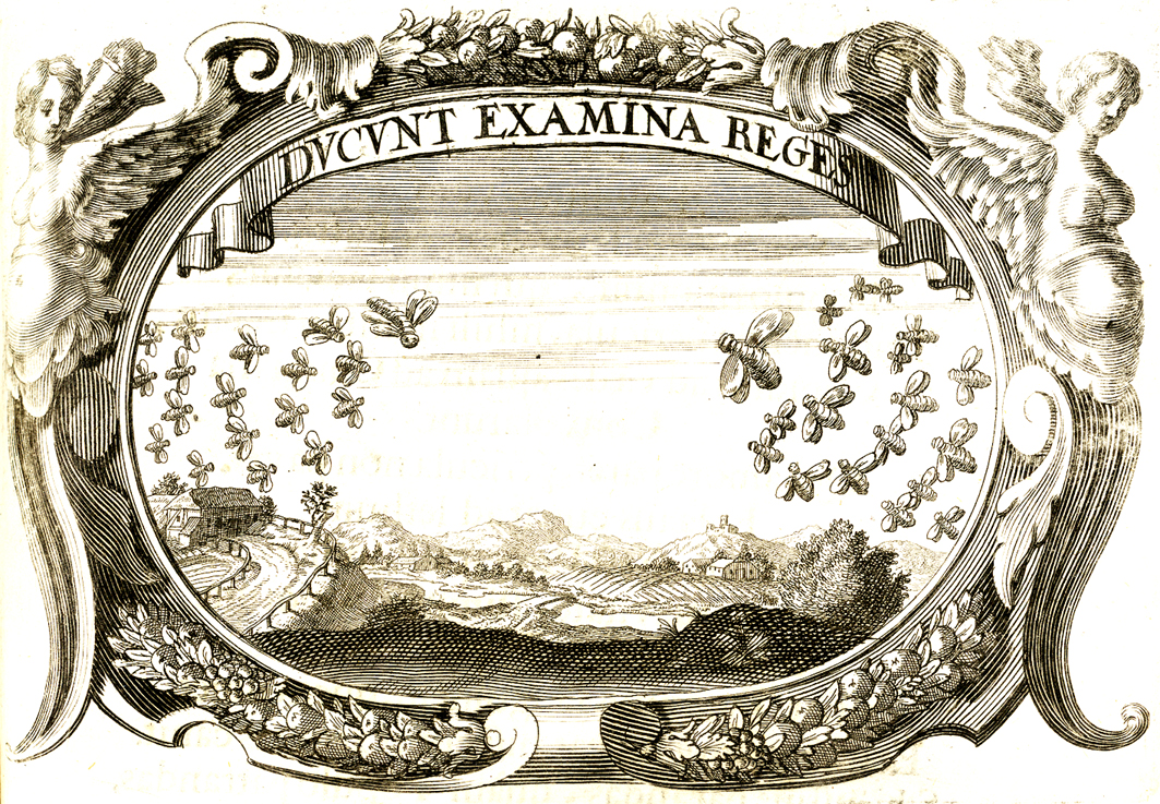 Monumentaum extremi honoris...Principis Ferdinandi Mariae, utriusque Bavariae, ac Superioris Palatinatus …