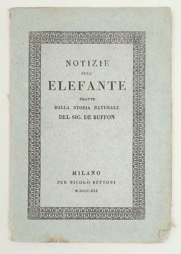 Notizie sull'elefante