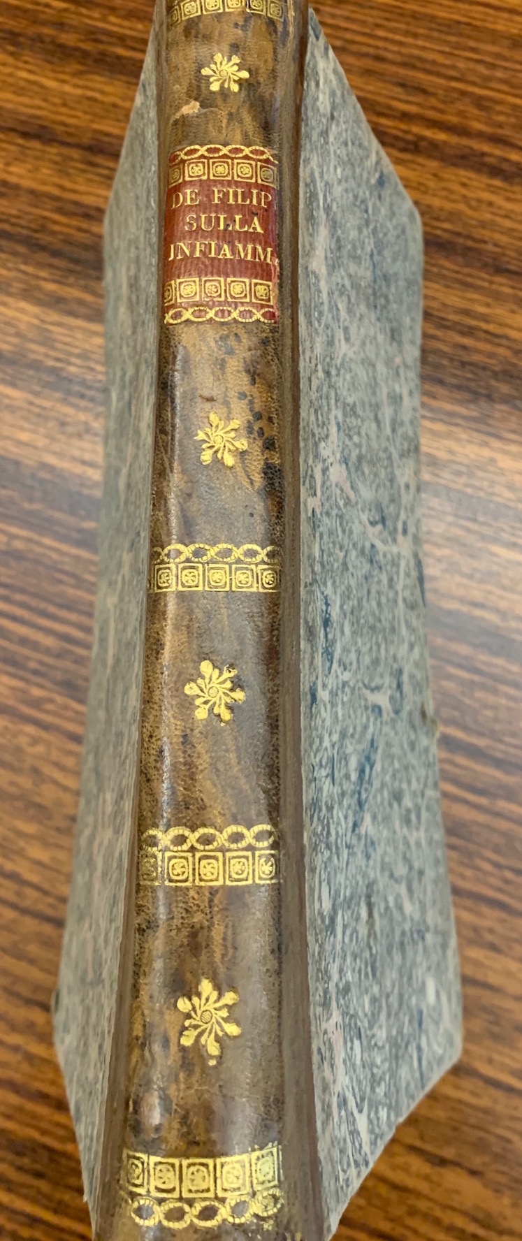 Nuovo Saggio analitico sulla infiammazione