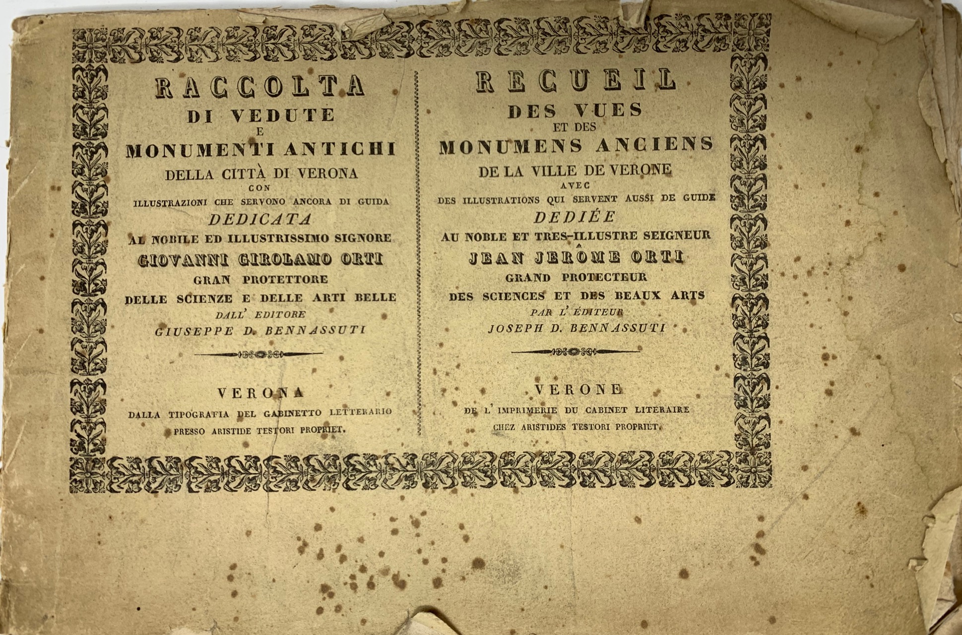 Raccolta di Vedute di Monumenti Antichi della città di Verona,