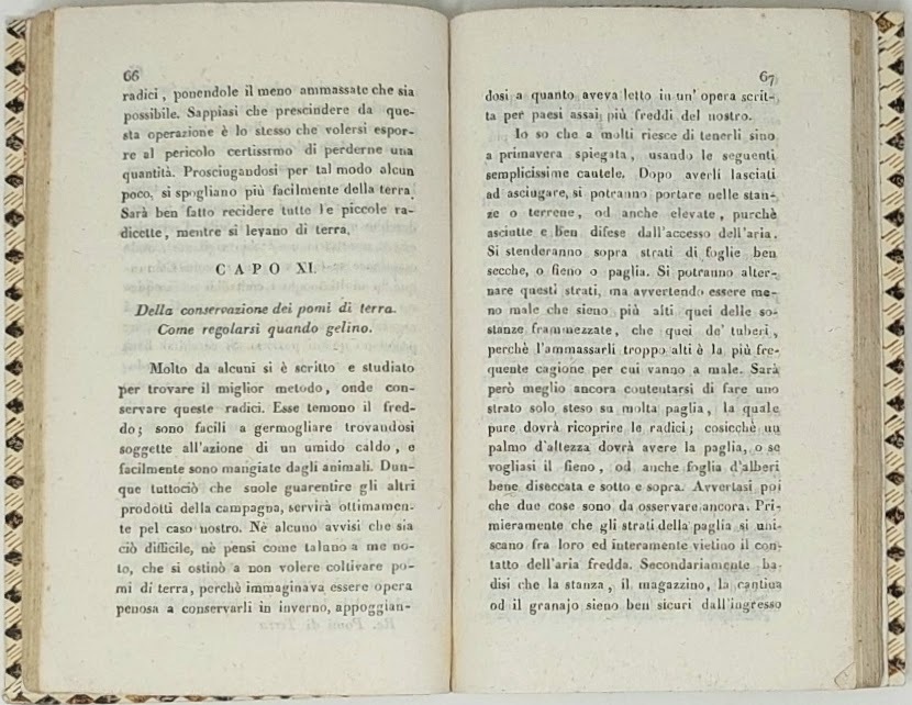 Saggio sulla coltivazione e su gli usi del pomo di …