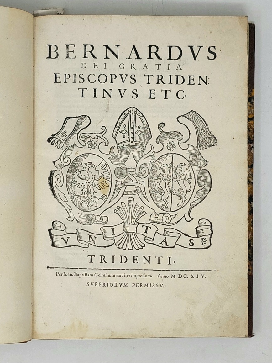 Statuta: De civilibus, De syndicis, De criminalibus. (Segue:) Forma constituendi …