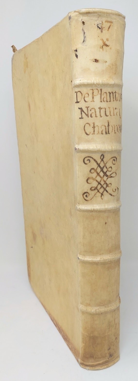 Stirpium icones et sciagraphia.&amp;nbsp;Cum scriptorum circa eas consensu et dissensu: …