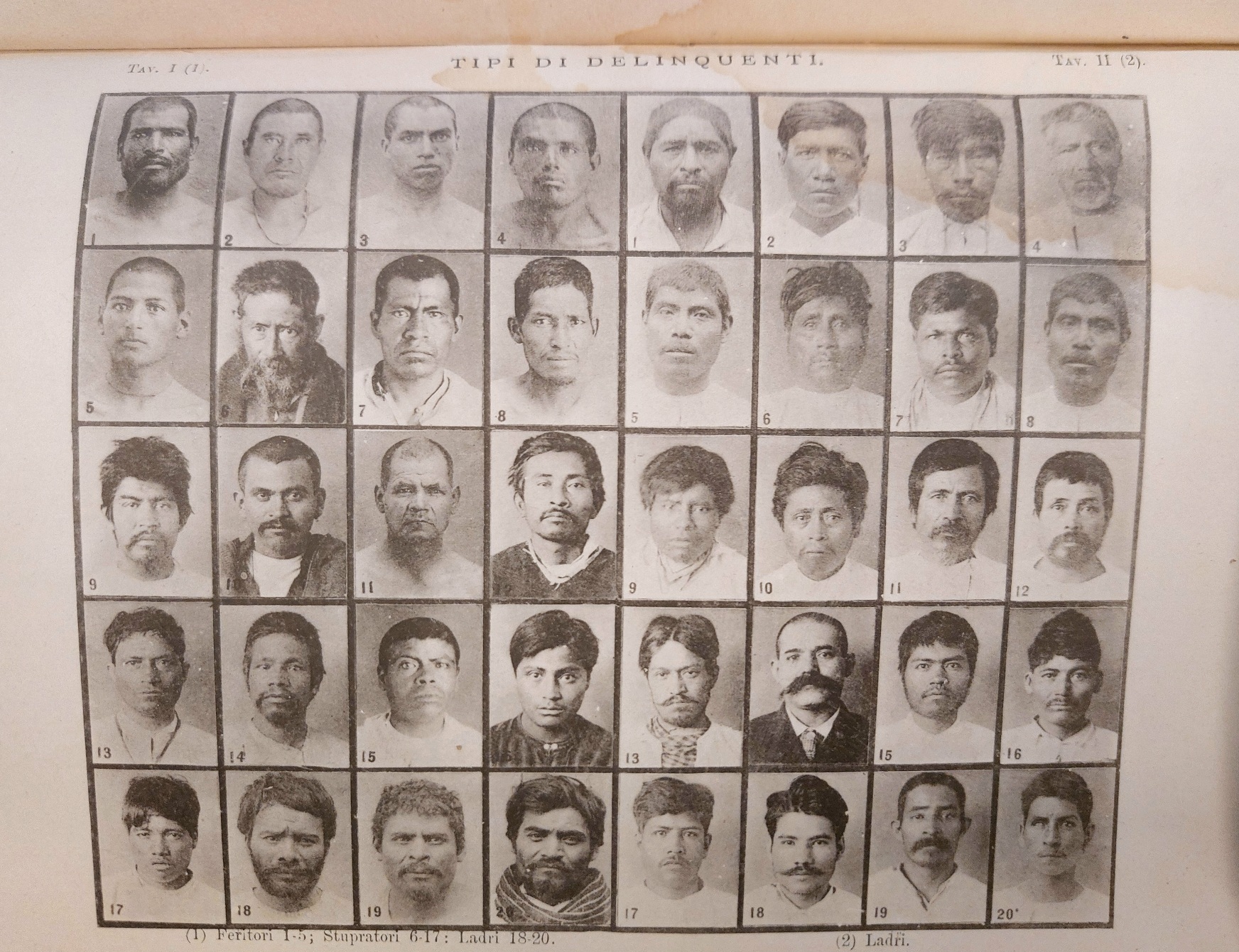 Studi di antropologia criminale : memoria presentata all'Esposizione Internazionale di …