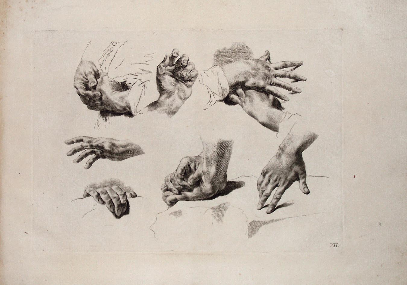 Studio di mani. Tav. VII.