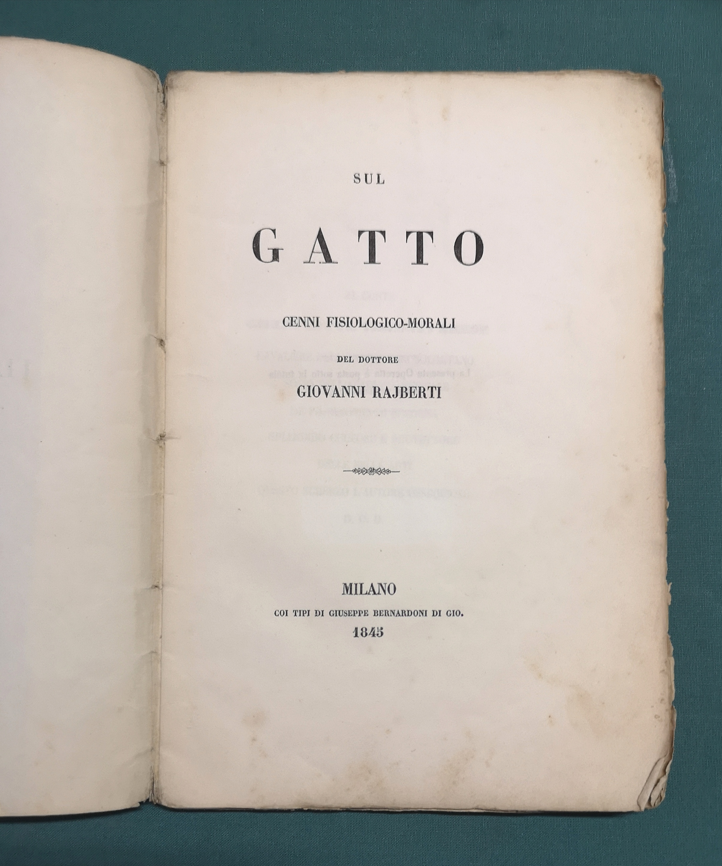 Sul gatto. Cenni fisiologico-morali del dottore Giovanni Rajberti.