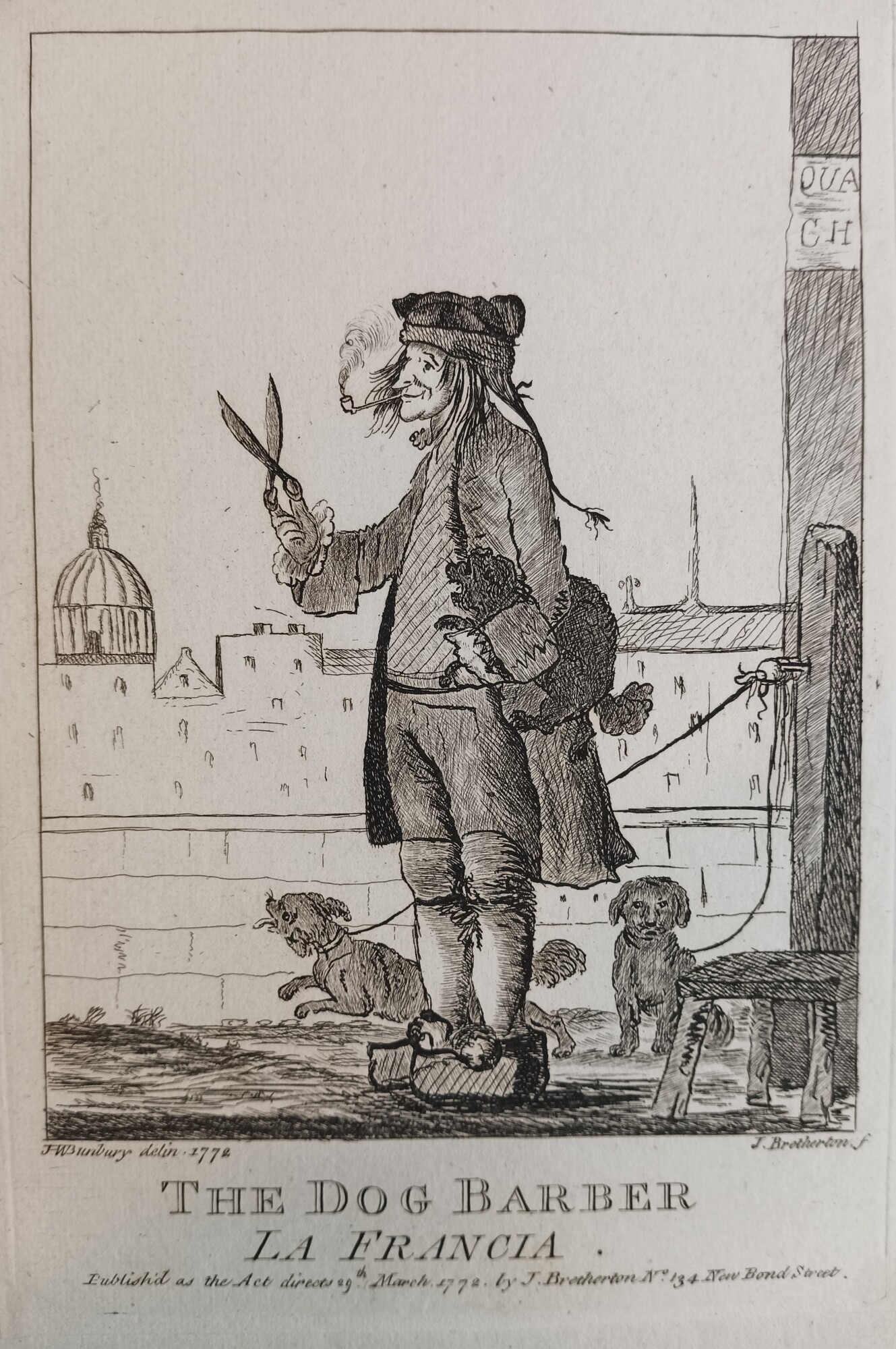 The dog barber - La Francia