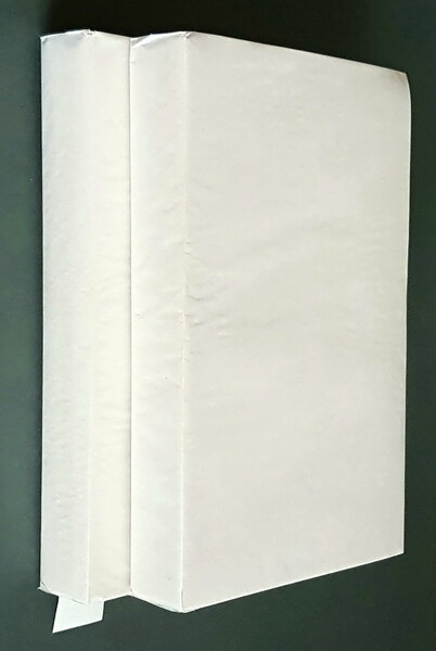 HISTOIRE DE LA REVOLUTION D'ANGLETERRE depuis l'avÃ¨nement de Charles 1Â° …