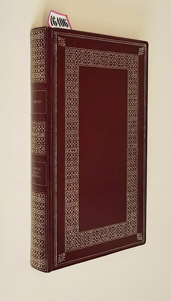 IL PONTE NELLA GIUNGLA