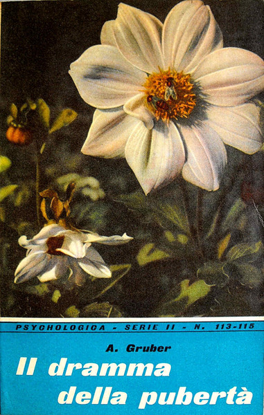 IL DRAMMA DELLA PUBERTA'