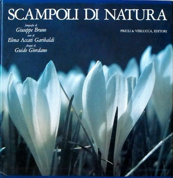 SCAMPOLI DI NATURA