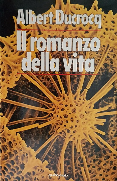 IL ROMANZO DELLA VITA