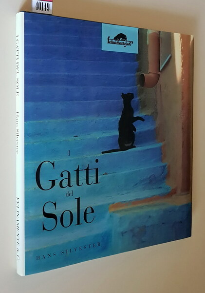 I GATTI DEL SOLE