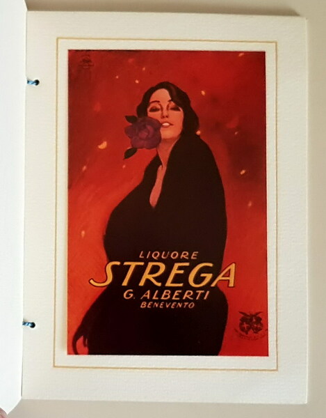 IL MANIFESTO ILLUSTRARO