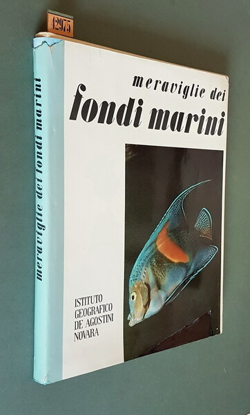 MERAVIGLIE DEI FONDI MARINI