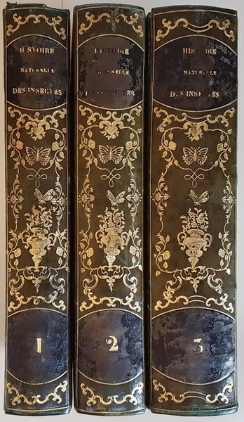 HISTOIRE NATURELLE DES INSECTES COLEOPTERES (tomes I, II) et HISTOIRE …