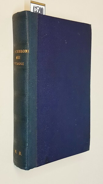 GLI OSTAGGI - Pagina storica del 1848