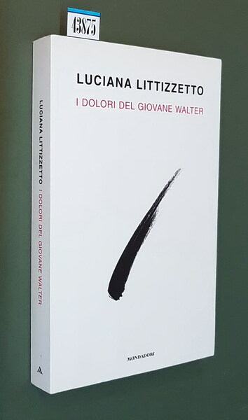 I DOLORI DEL GIOVANE WALTER