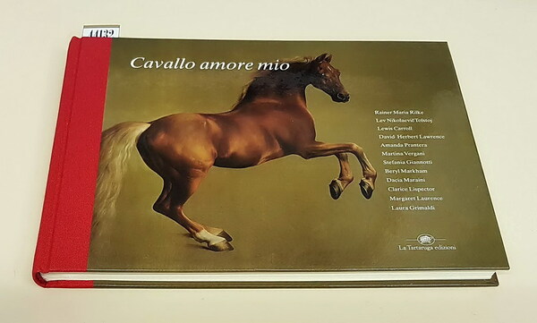 CAVALLO AMORE MIO