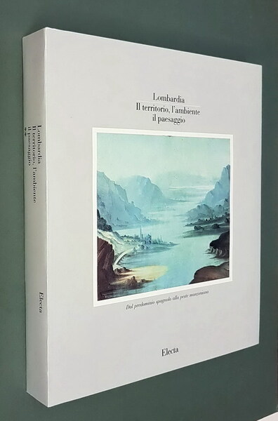 LOMBARDIA - IL TERRITORIO, L'AMBIENTE, IL PAESAGGIO - Dal predominio …