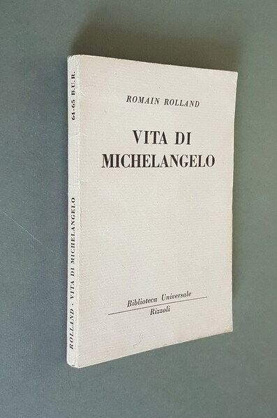 VITA DI MICHELANGELO