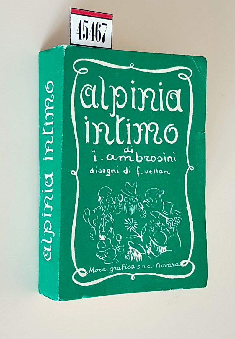 ALPINIA INTIMO
