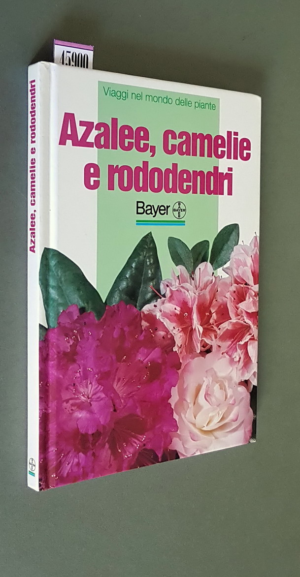 AZALEE, CAMELIE E RODODENDRI