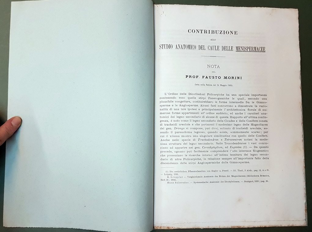 CONTRIBUZIONE ALLO STUDIO ANATOMICO DEL CAULE DELLE MENISPERMACEE