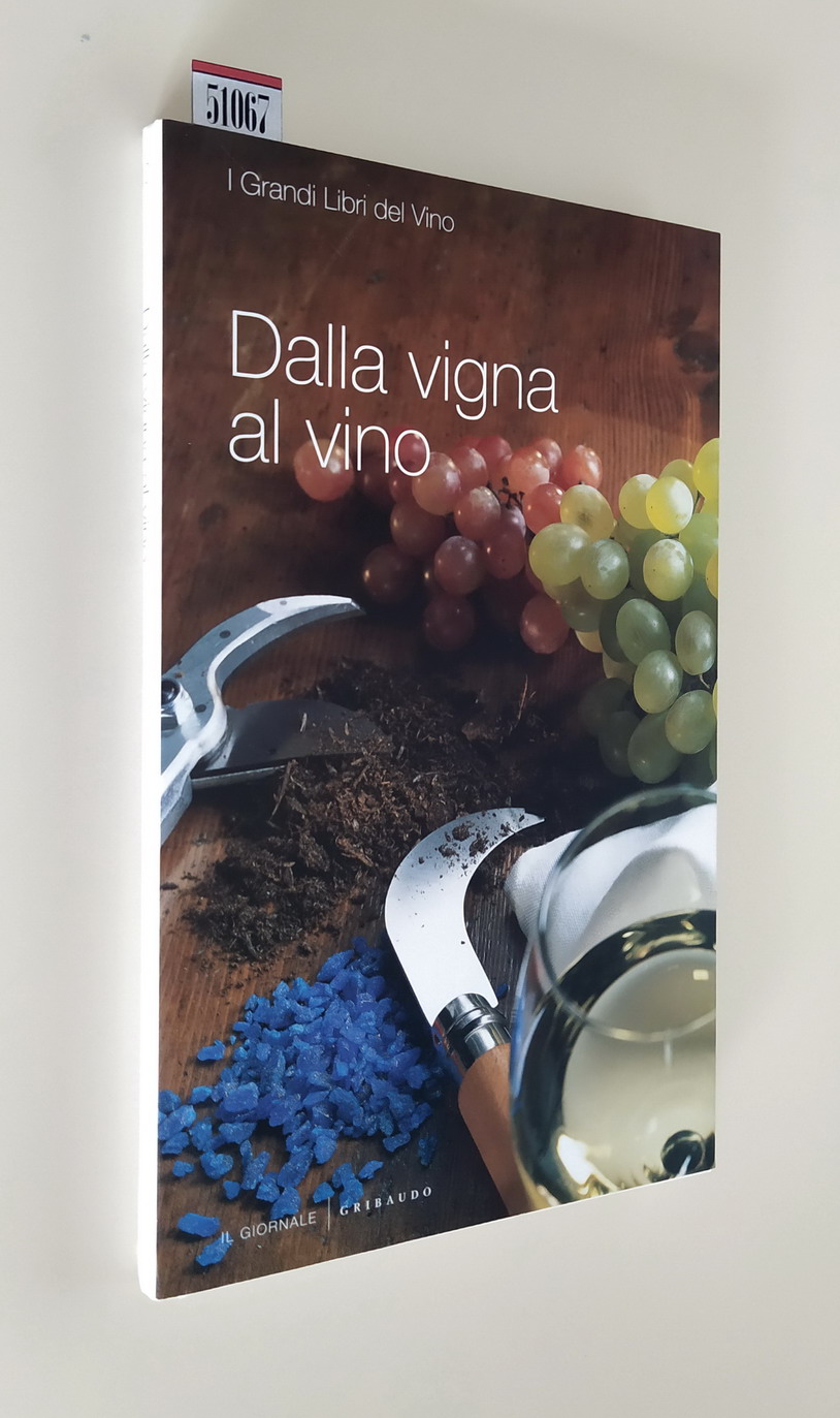 DALLA VIGNA AL VINO