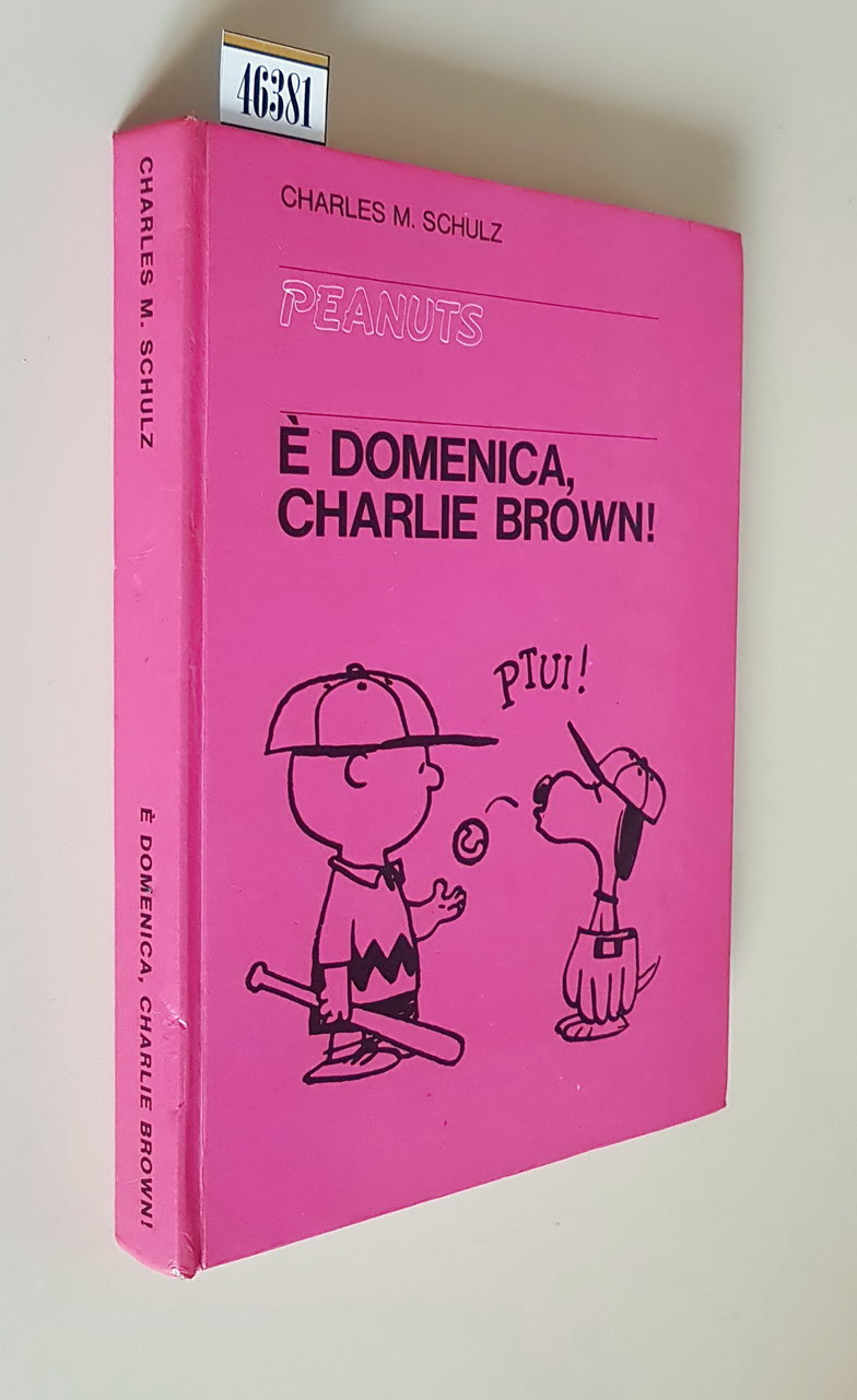 E' DOMENICA, CHARLIE BROWN!