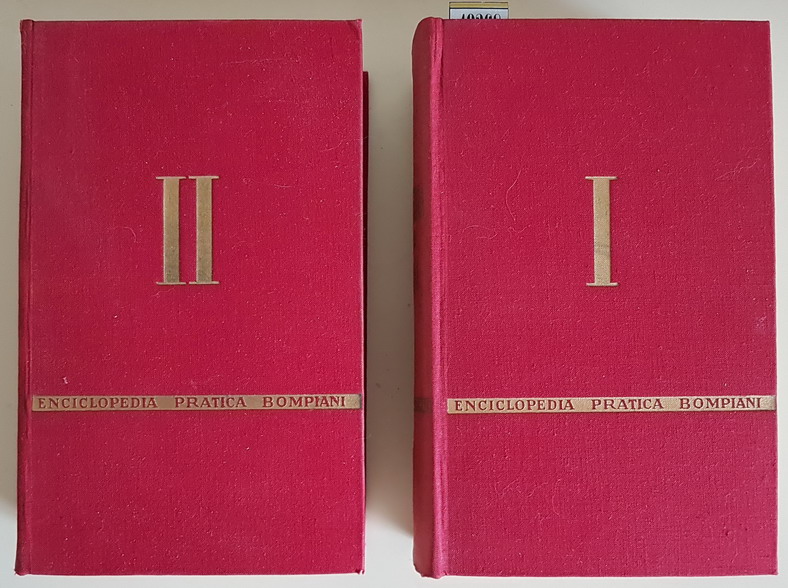 ENCICLOPEDIA PRATICA BOMPIANI - La Cultura, la vita civile, la …