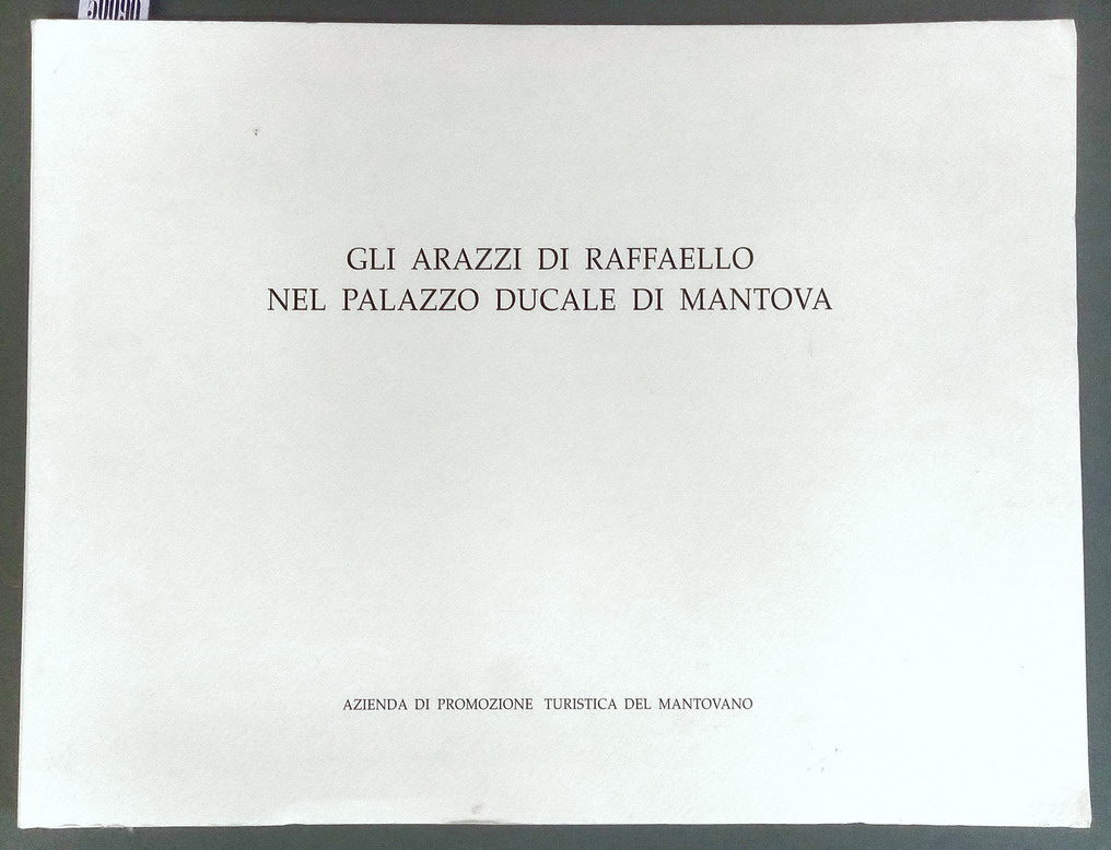 GLI ARAZZI DI RAFFAELLO NEL PALAZZO DUCALE DI MANTOVA