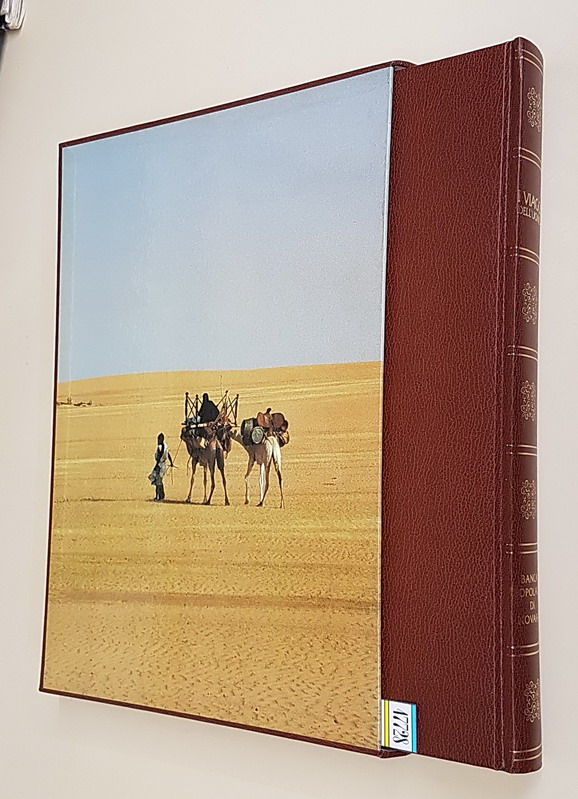 I VIAGGI DELL'UOMO